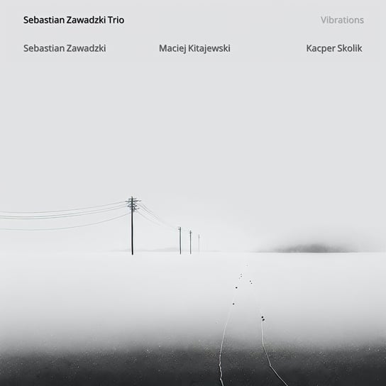 Vibrations Sebastian Zawadzki Trio