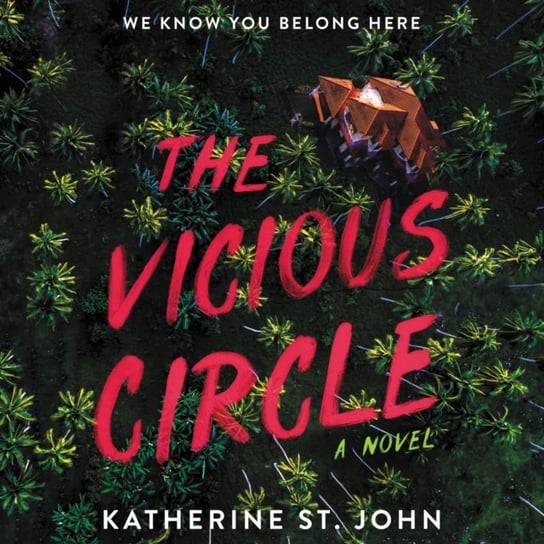 Vicious Circle Katherine St. John