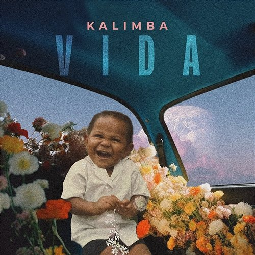 Vida Kalimba