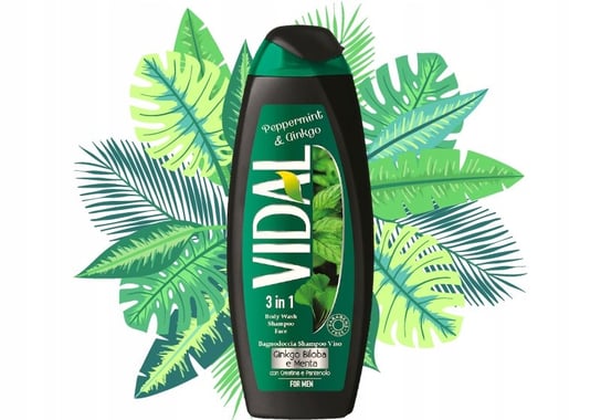 Vidal, 3w1 Mięta I Miłorząb Żel Pod Prysznic Men, 250ml Vidal