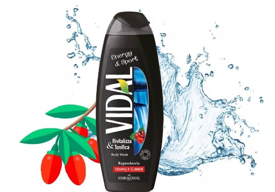 Vidal, Szampon I Żel Pod Prysznic Energy&Sport, 250ml Vidal