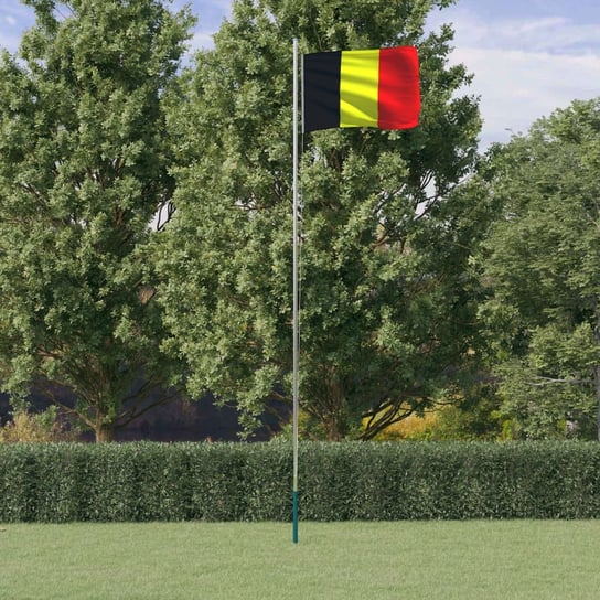 vidaXL Flaga Belgii z masztem, 6,23 m, aluminium vidaXL