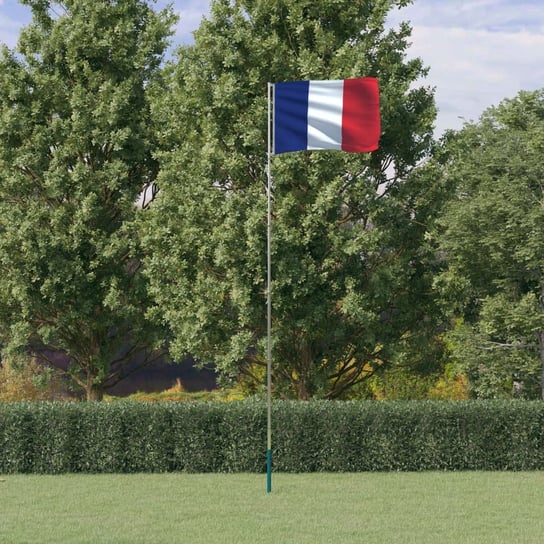 vidaXL Flaga Francji z masztem, 5,55 m, aluminium vidaXL