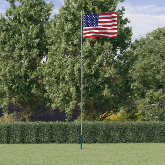 vidaXL Flaga Stanów Zjednoczonych z masztem, 6,23 m, aluminium vidaXL