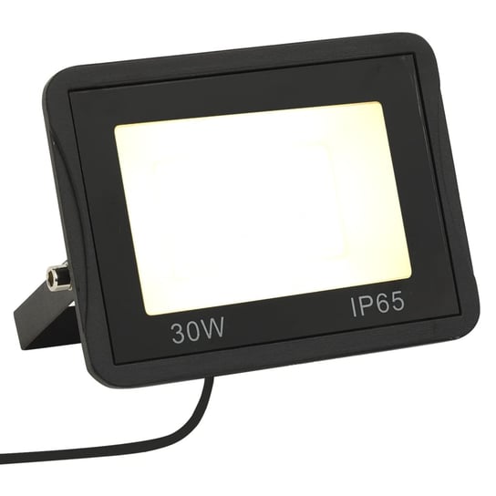 vidaXL, Reflektor LED, 30 W, ciepłe białe światło vidaXL