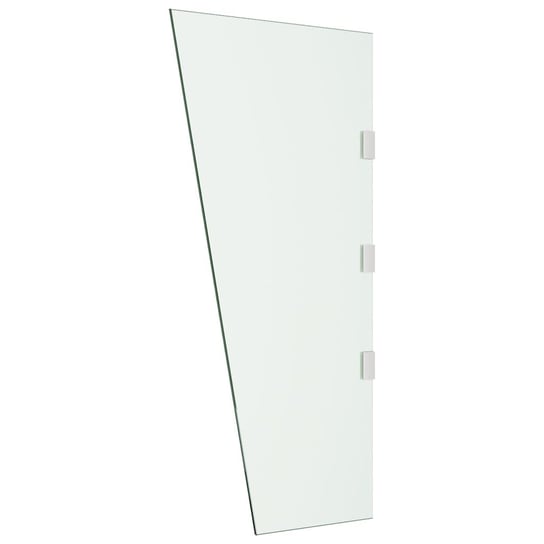 vidaXL Ścianka do zadaszenia drzwi, przezroczysta, 50x100 cm, szkło vidaXL