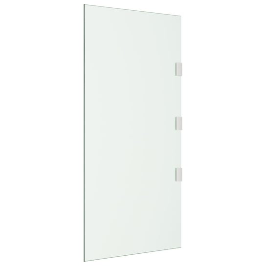 vidaXL Ścianka do zadaszenia drzwi, przezroczysta, 50x100 cm, szkło vidaXL