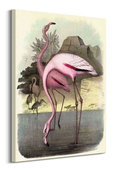 Vintage Flamingos - obraz na płótnie Pyramid International