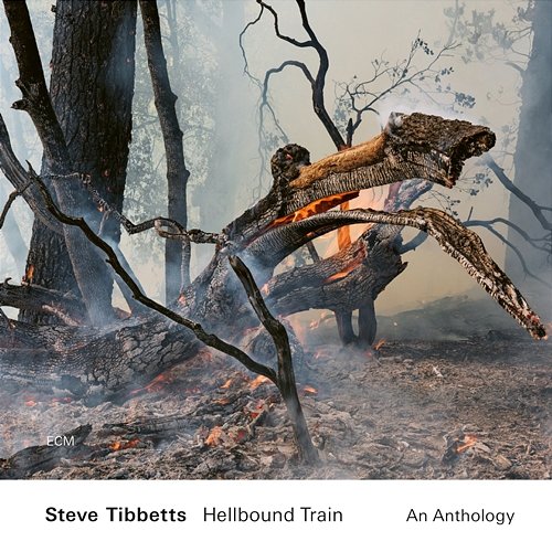 Vision Steve Tibbetts
