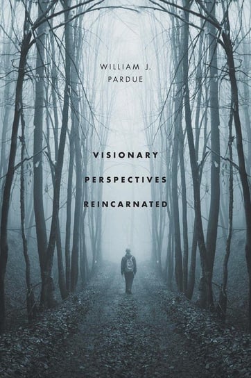 Visionary Perspectives Reincarnated Pardue William J.