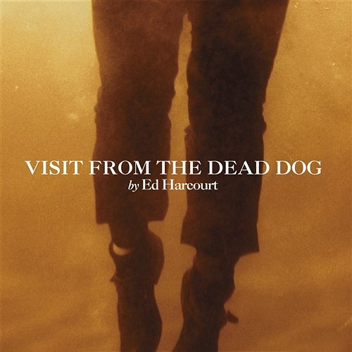 Visit From The Dead Dog Ed Harcourt