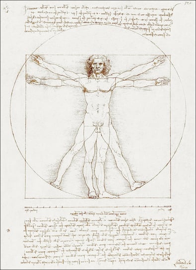 Vitruvian Man, Leonardo Da Vinci - plakat 20x30 cm / AAALOE Inna marka