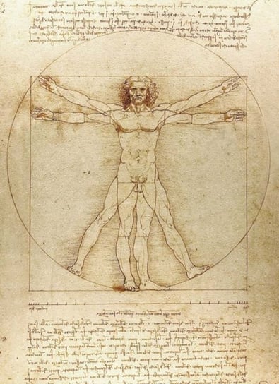 Vitruvian Man Notebook Leonardo Da Vinci