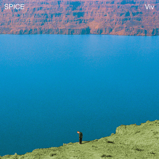Viv Spice