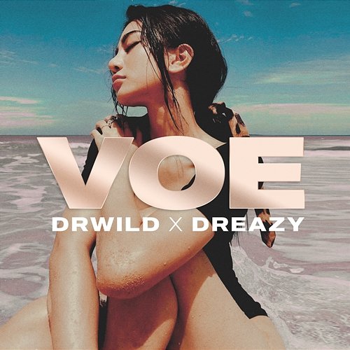 VOE DRWILD & Dreazy