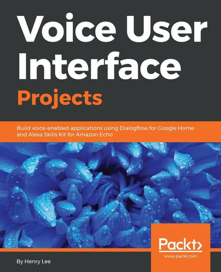 Voice User Interface Projects Henry Lee