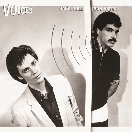 Voices Daryl Hall & John Oates