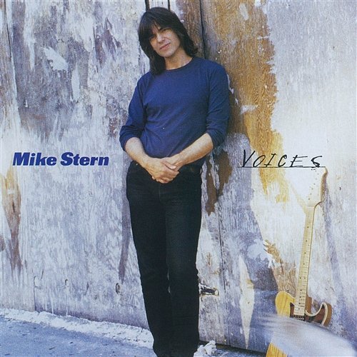 Voices Mike Stern