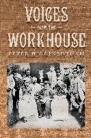 Voices From the Workhouse Higginbotham Peter