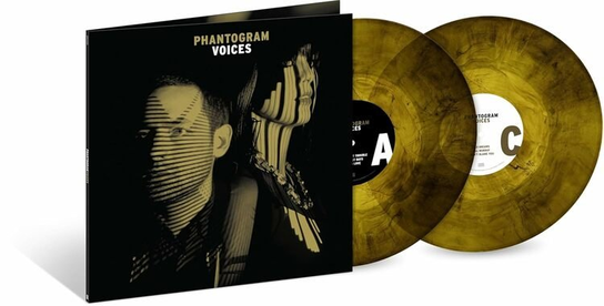 Voices, płyta winylowa Phantogram