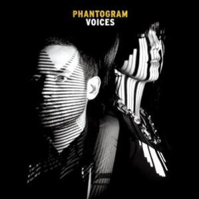 Voices, płyta winylowa Phantogram