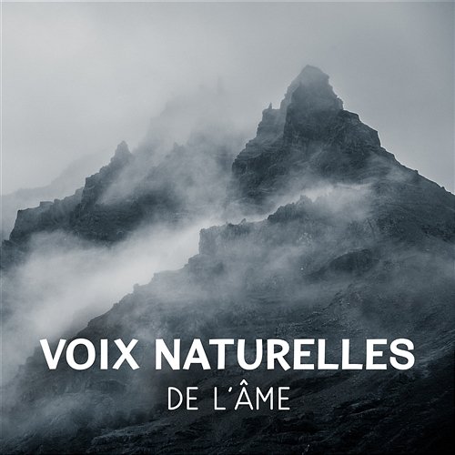 Voix naturelles de l'âme – Meilleur musique de relaxation, Son d'oiseaux, Océan et forêt pour de-stress Collection de Musique Naturelle