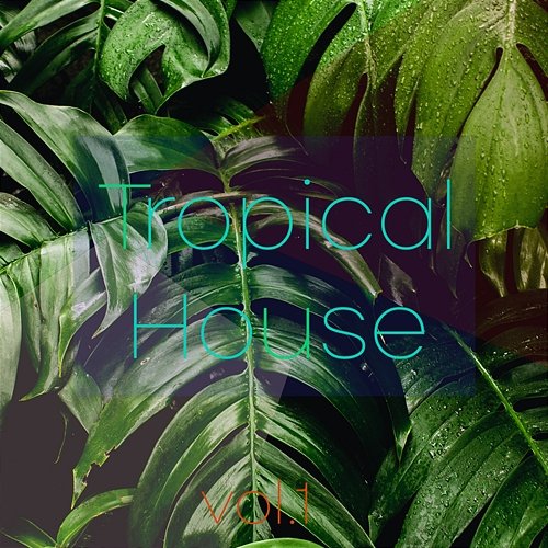 VOL 1. Tropical House