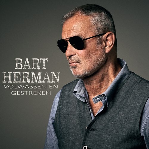 Volwassen en Gestreken Bart Herman