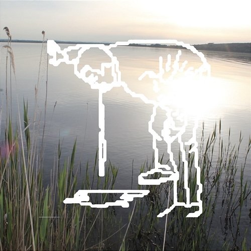 vomitare moth., tommi