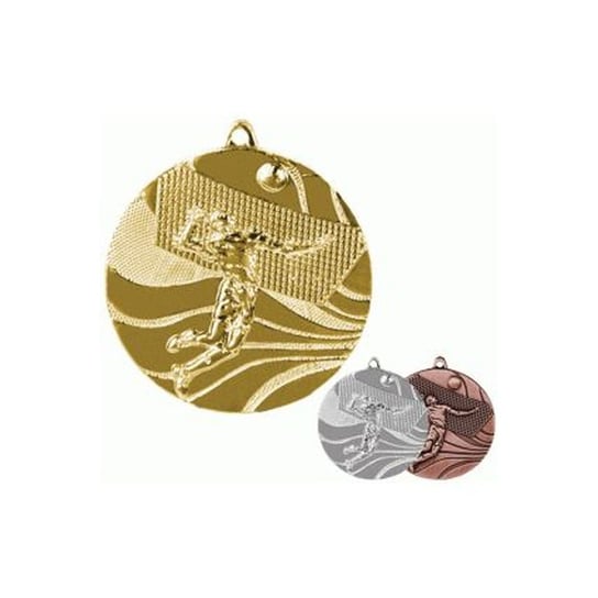 VS, Medal złoty, Siatkówka VS