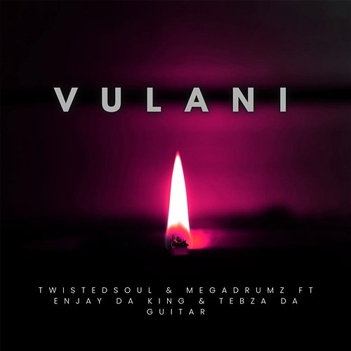 Vulani Tebza da Guitar, Twistedsoul, Megadrumz, Enjay Da King