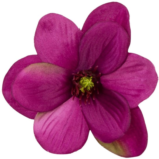 [w10017] Główka kwiatowa magnolia 11cm ciemno-biskupia 12szt Inna marka