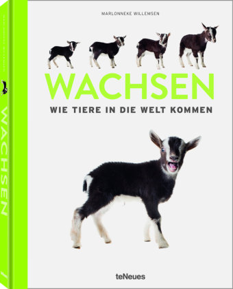 Wachsen teNeues Verlag