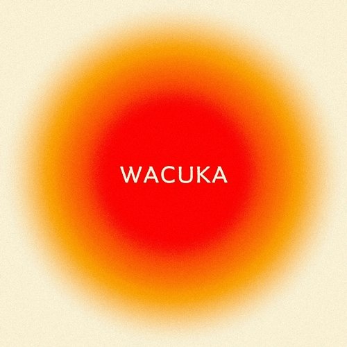 Wacuka Sofiya Nzau, AVAION