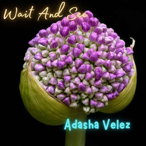 Wait And See Adasha Velez