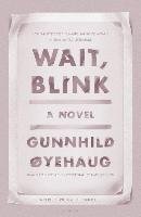 Wait, Blink: A Perfect Picture of Inner Life: A Novel Oyehaug Gunnhild