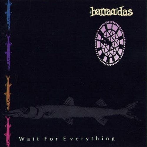 Wait For Everything The Barracudas