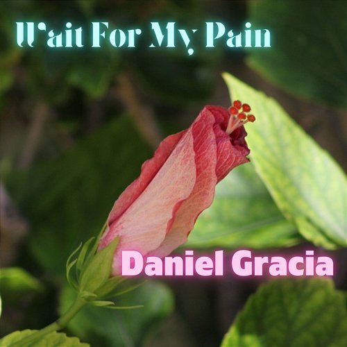Wait For My Pain Daniel Gracia
