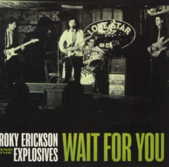 Wait For You Roky Erickson and The Explosives