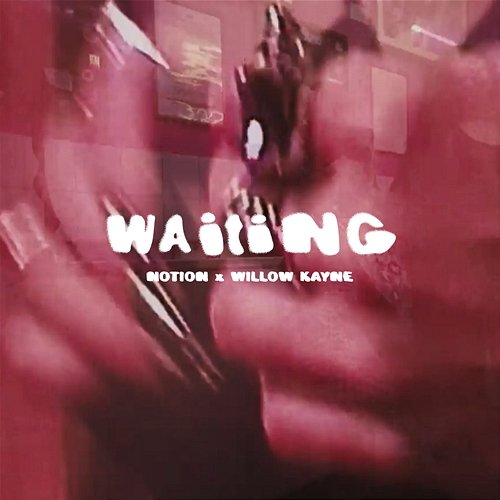 WAITING NotioN, Willow Kayne