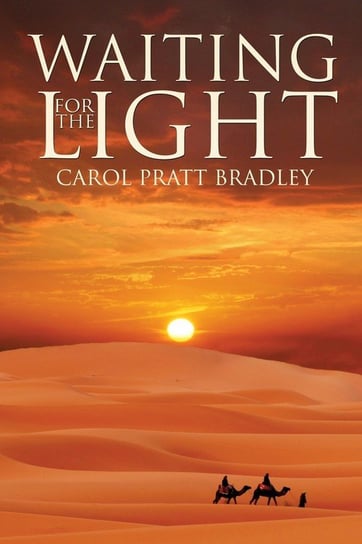 Waiting for the Light Bradley Carol Pratt