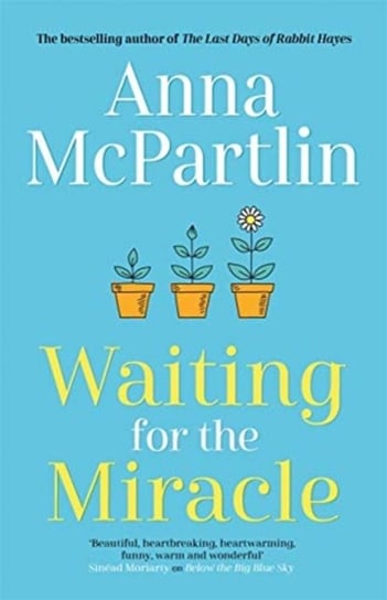 Waiting for the Miracle: The heartbreaking new novel from the bestselling author of The Last Days of McPartlin Anna