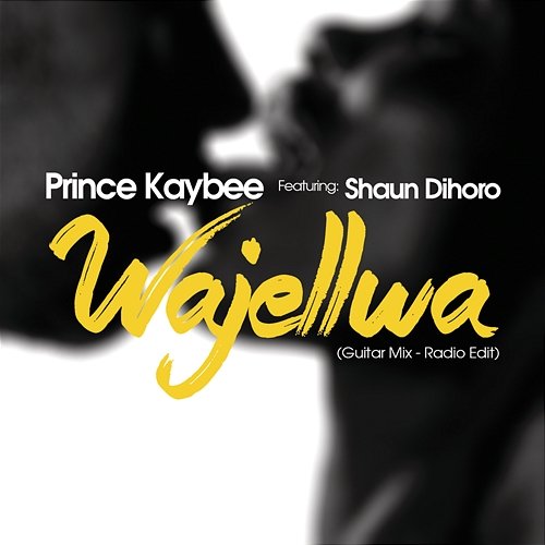 Wajellwa Prince Kaybee feat. Shaun Dihoro