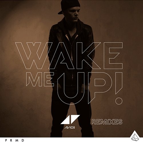 Wake Me Up Avicii