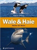 Wale & Haie Oftring Barbel