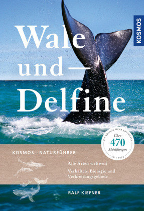 Wale und Delfine Kosmos (Franckh-Kosmos)