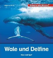 Wale und Delfine Prinz Johanna