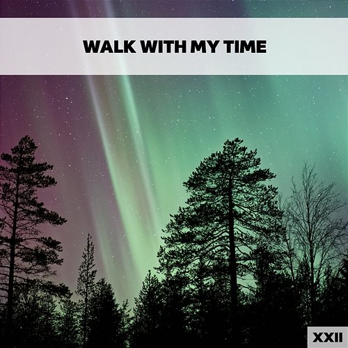 Walk With My Time XXII Various Artists