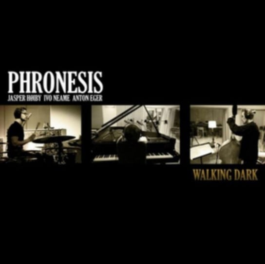 Walking Dark Phronesis
