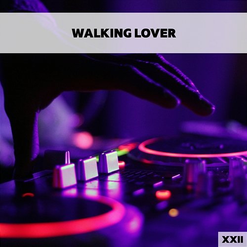 Walking Lover XXII Various Artists
